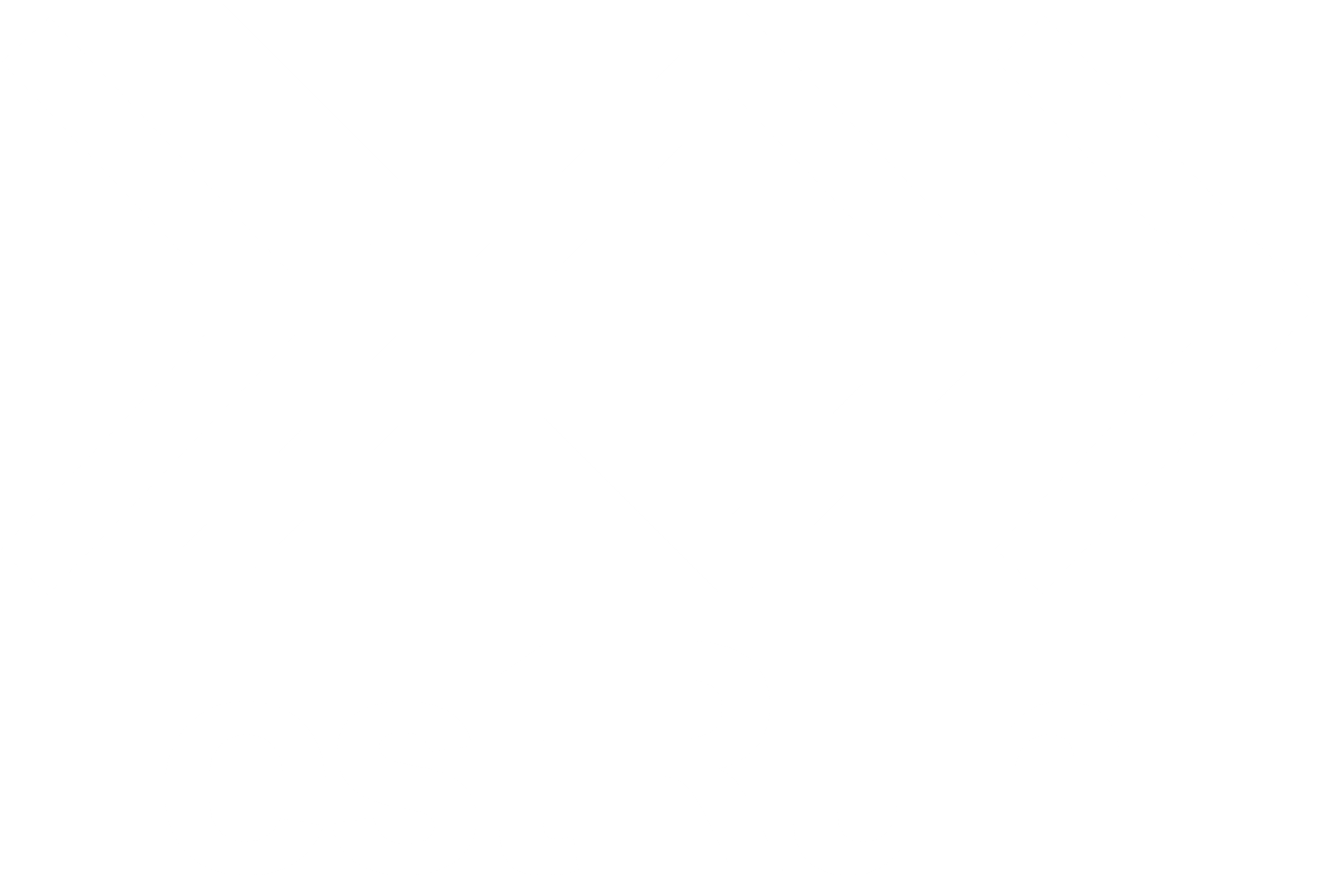 testrun logo white